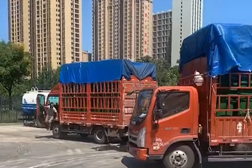实景案例